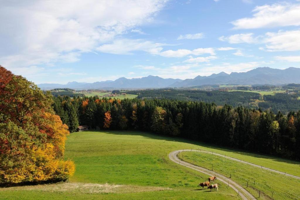 Lamplhof Villa Rimsting Dış mekan fotoğraf